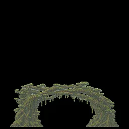 Structure Canopy Bough Arch