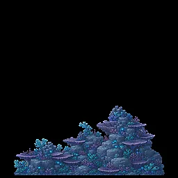Structure Coral Shelf Fan