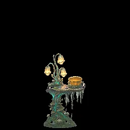 Structure Fungal Spore Lantern Shelf