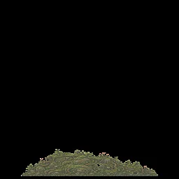 Structure Heartroot Hillock Bush